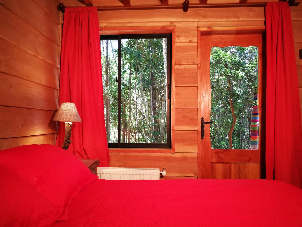 Okori Hostel Pucón Eksteriør billede